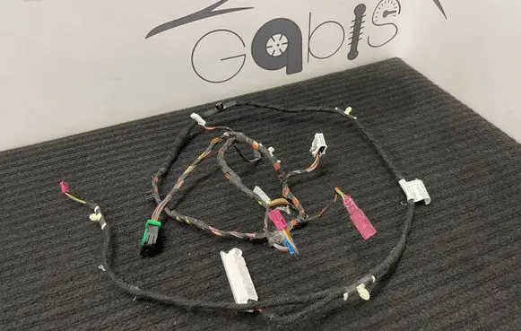 Front door wiring loom