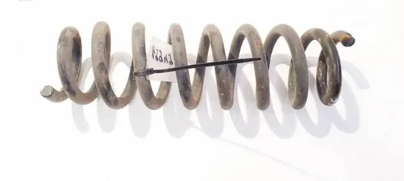 Rear coil spring