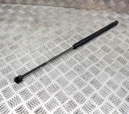 Tailgate/trunk strut/damper
