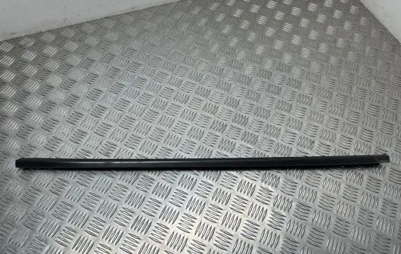 Mitsubishi Pajero Front door trim (molding)