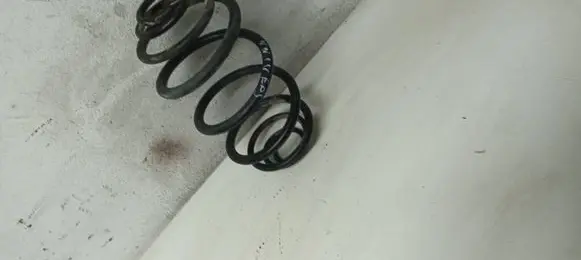 Rear coil spring