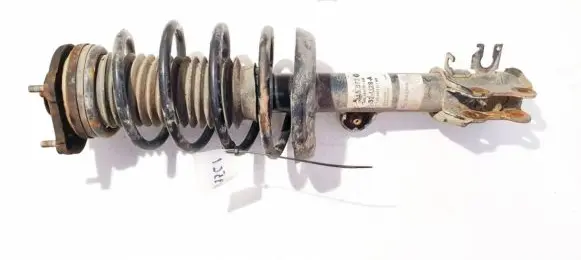Fiat Doblo Front shock absorber/damper 315373 824903011905