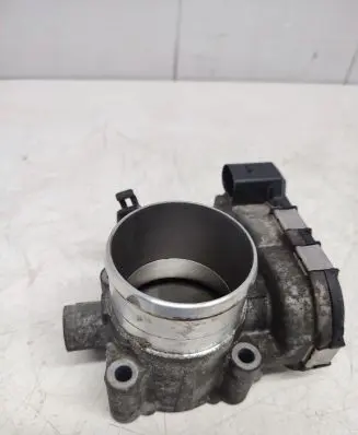 Throttle body valve