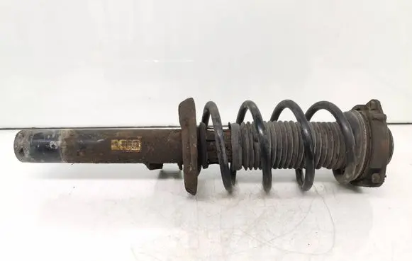 Front shock absorber with coil spring