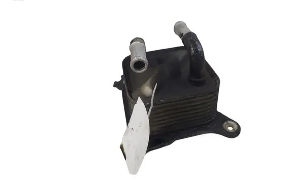 Nissan Juke I F15 Oil filter mounting bracket