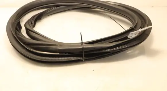 BMW 2 F45 Rubber seal front door (on door) 7316816-03