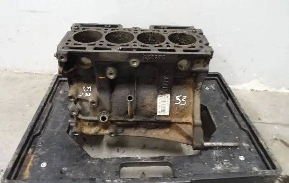 Renault Kangoo I Engine block 4DF