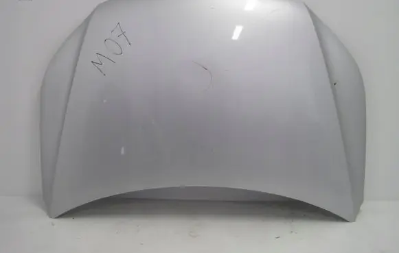 Volkswagen Tiguan Engine bonnet/hood 