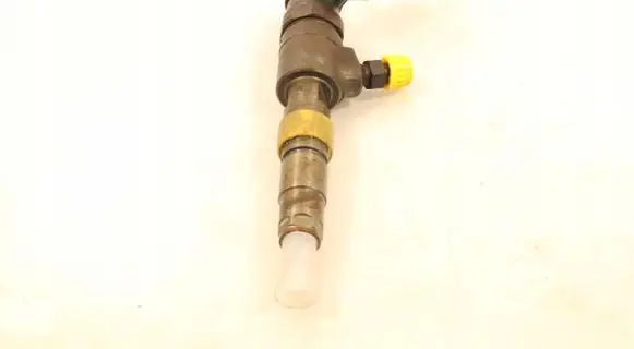 Peugeot Partner Fuel injector 0445110566