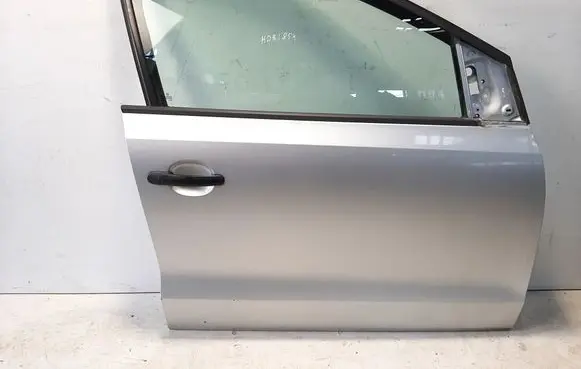 Volkswagen Polo V 6R Front door 