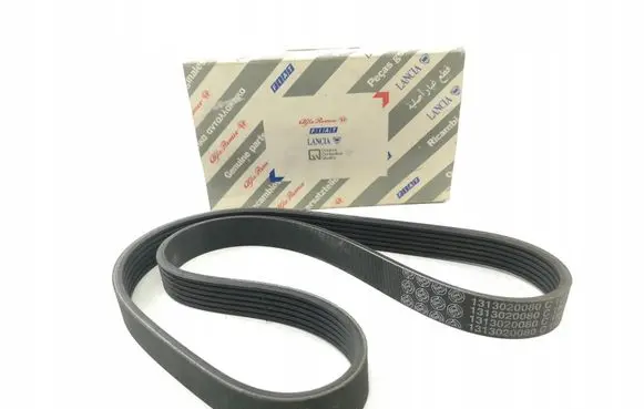 Fiat Ducato Alternator belt 1313020080