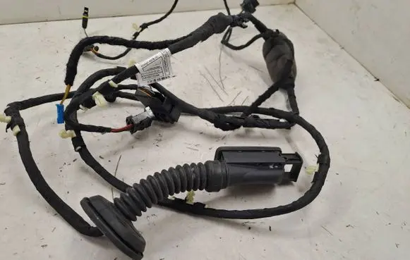 Rear door wiring loom