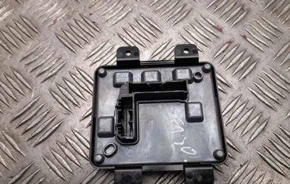 Tesla Model Y Other control units/modules 185554113E