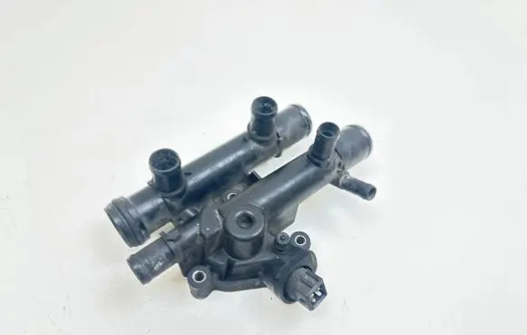Thermostat/thermostat housing