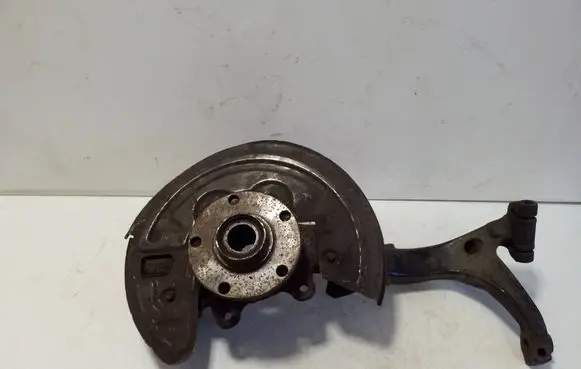 Volkswagen PASSAT B5.5 Front wheel hub 