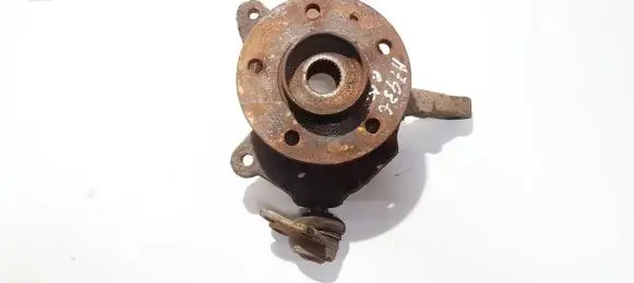 Renault Trafic II (X83) Front wheel hub