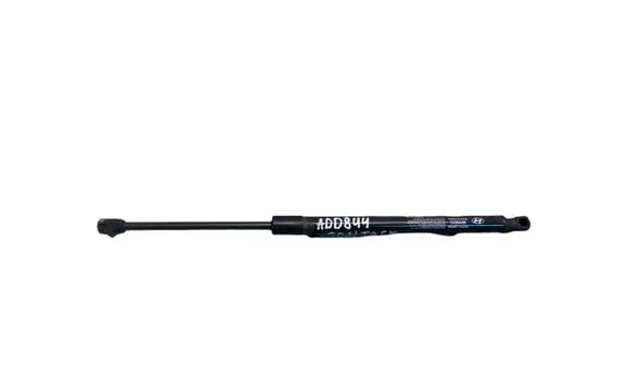 Tailgate/trunk strut/damper