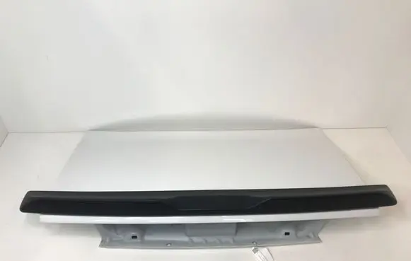 Dodge Challenger Tailgate/trunk/boot lid 
