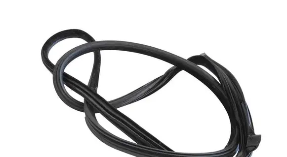BMW 6 F12 F13 Rubber seal front door (on door) 