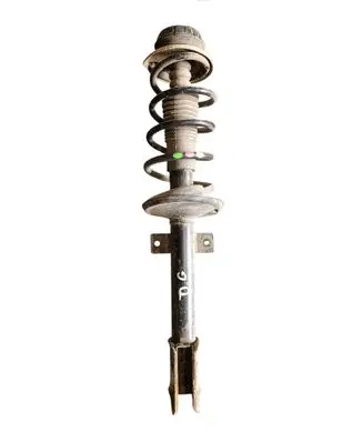 Dacia Duster II Rear shock absorber with coil spring 562107298R