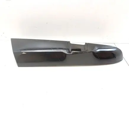 Rear/tail light trim molding