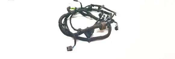 Chevrolet Cruze Loading door wiring loom 95173651 651365104