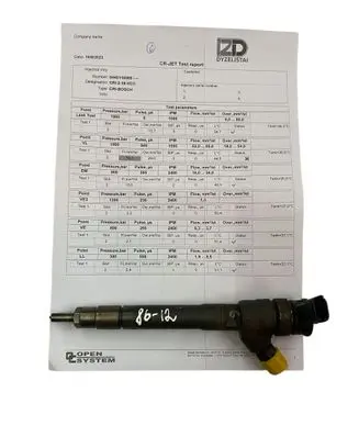 Renault Trafic III (X82) Fuel injector 0445110569
