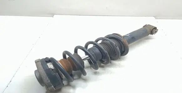 BMW X3 F25 Rear shock absorber with coil spring 6796317 33526796317