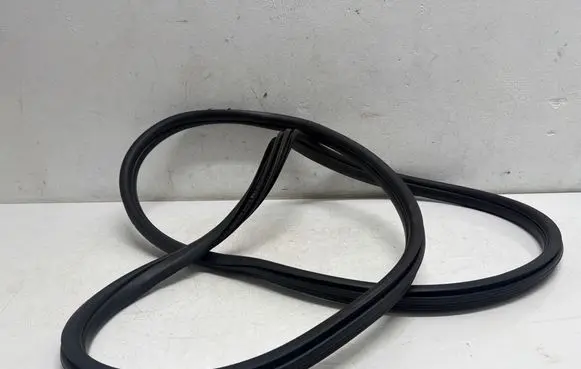 BMW X1 F48 F49 Front door rubber seal 7349628