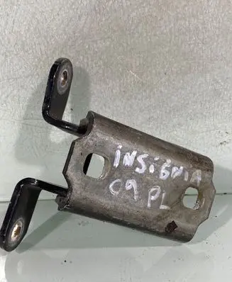 Opel Insignia A Front door lower hinge 