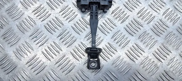 BMW X1 U11 Front door check strap stopper 51219883824 9883824