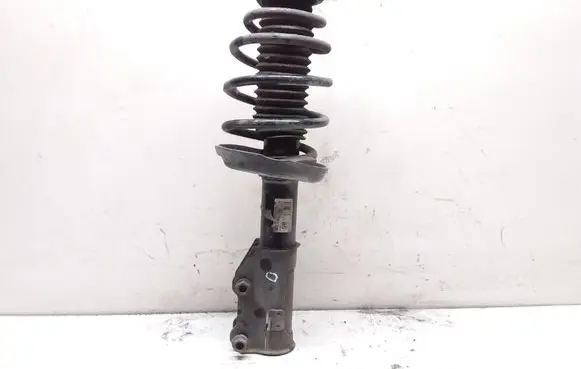 Opel Insignia A Front shock absorber with coil spring 13475853