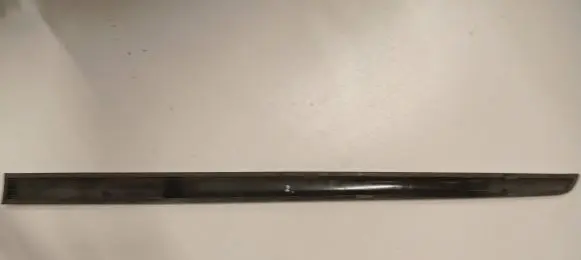 Nissan Note (E11) Front door trim (molding) 808719U000