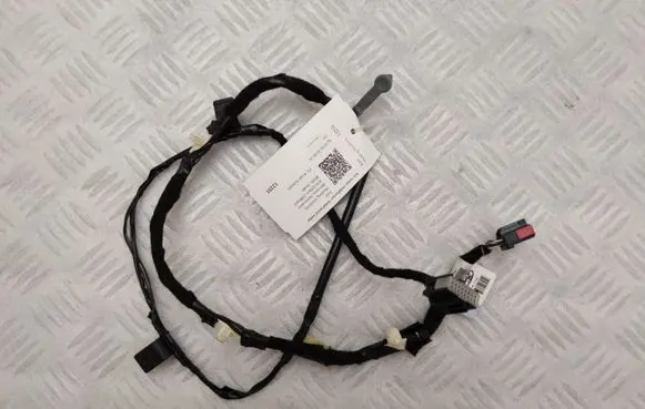 Other wiring loom