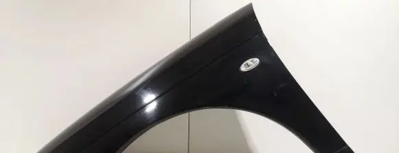 Citroen C6 Fender
