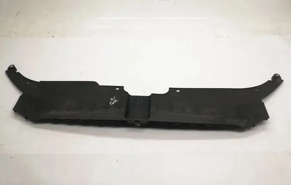 Audi Q5 SQ5 Radiator trim 8R0807081