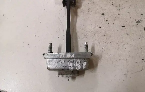 Ford Focus C-MAX Rear door check strap stopper