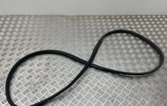 Peugeot 3008 I Rubber seal front coupe door 