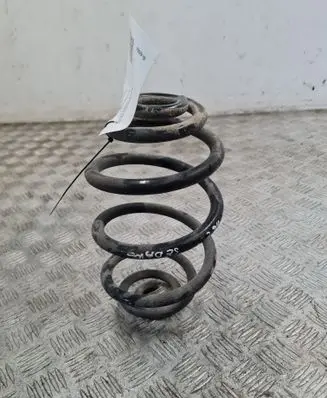 Rear coil spring