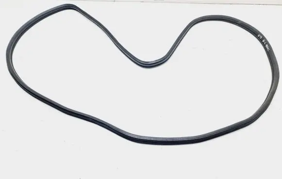 Saab 9-5 Front door rubber seal