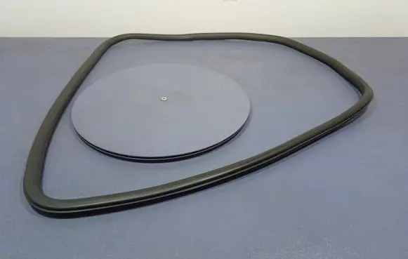 Opel Insignia A Front door rubber seal 