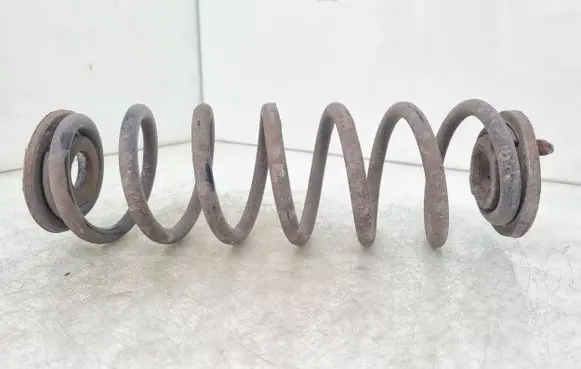 Volkswagen Tiguan Rear coil spring