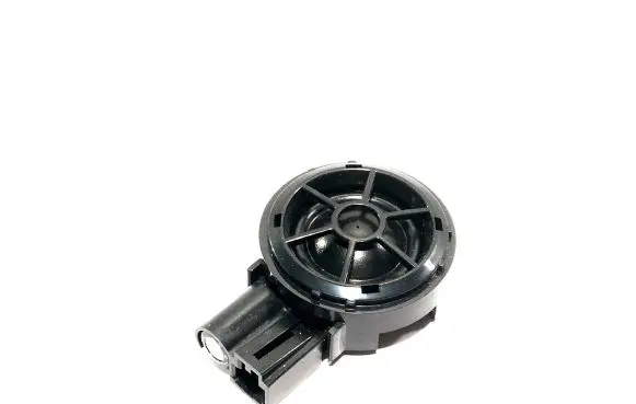 Front door high frequency speaker