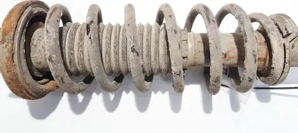 Chevrolet Epica Rear coil spring