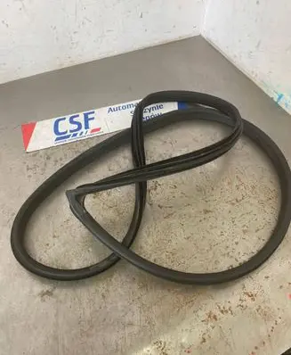 Ford Fiesta Front door rubber seal 