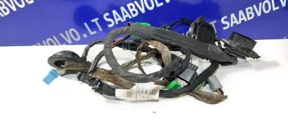 Other wiring loom