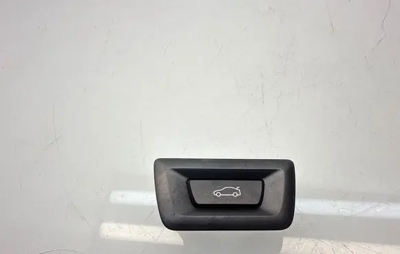 Tailgate opening switch