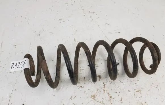 Volkswagen PASSAT B6 Rear coil spring