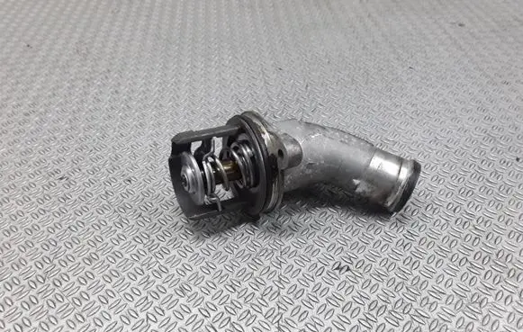 Thermostat/thermostat housing