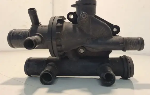 Thermostat/thermostat housing